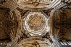 Salamanca114