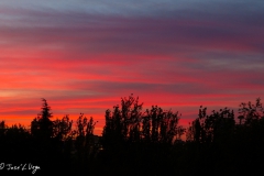 Amaneceres y anocheceres