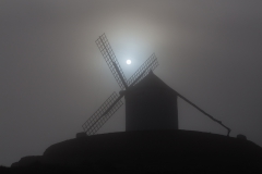 consuegra_004