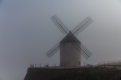 consuegra_003