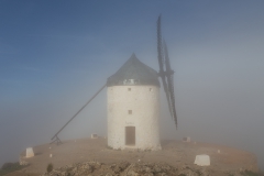 consuegra_005
