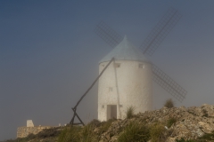 consuegra_007