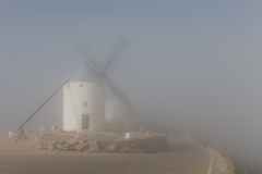 consuegra_013