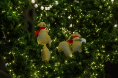 Escaparates New York