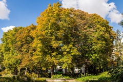 Entrada del botánico