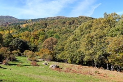 Group-0-_MG_3756__MG_3760-5-images