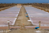 Salinas de Chiclana