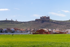 consuegra_016