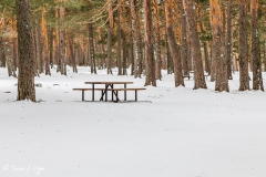 Canencia y La Morcuera nevado