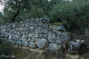 pared de Piedra