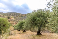 Del Pontón a las Cárcavas