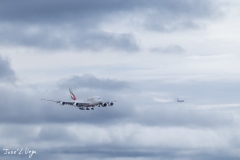 20260209-_J5A3443
