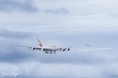 20260209-_J5A3448