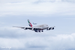 20260209-_J5A3452