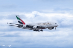 20260209-_J5A3470