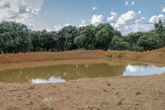 Group-2-_M5A9128__M5A9136-9-images-Editar