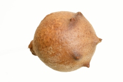 J5A5654
