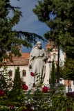 MG_3437