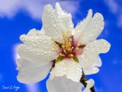 MG_9945-Editar