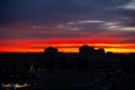 MG_2320