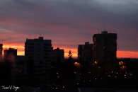 MG_2323