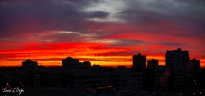 MG_2333-Pano