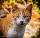 MG_1406-Editar-Editar