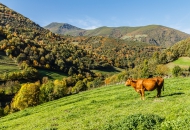 Asturias 2016