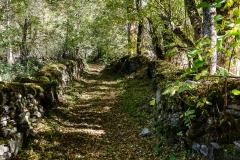 Camino en Villar de Arbas