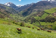 Asturias 2018