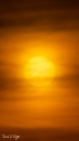MG_0062