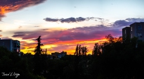MG_0265-Pano