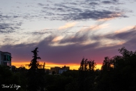MG_0519-Pano