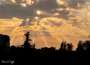 MG_0609-Pano