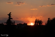 MG_0625