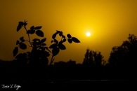 IMG_7447-Editar