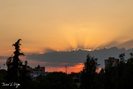 MG_4863