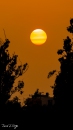 MG_5225