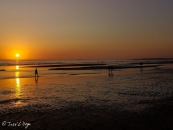 IMG_20190801_212220