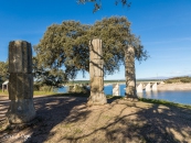 MG_0660