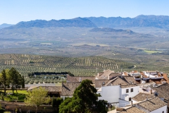 20260406-_J5A9117-Pano-Editar
