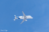 J5A9903