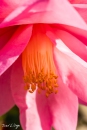 MG_3570