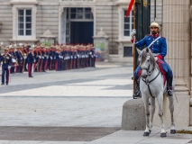 Cambio_guardia-23