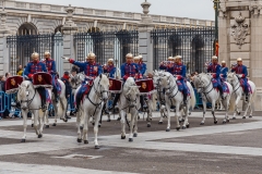 Cambio_guardia-24