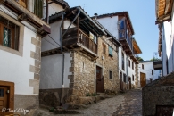 candelario006