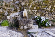 candelario008