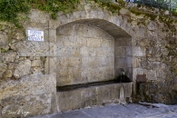 candelario011
