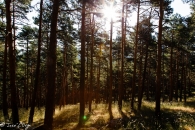 _mg_2057_14661675362_o