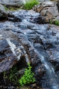 _mg_2075_14475591527_o